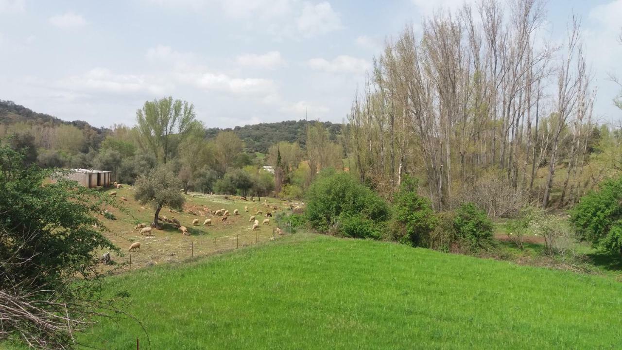 Casa Rural El Jardin Del Hueznar San Nicolás del Puerto Εξωτερικό φωτογραφία